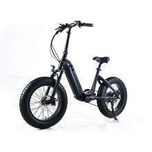 XY-PANDA electric bike with 500w hub motor
